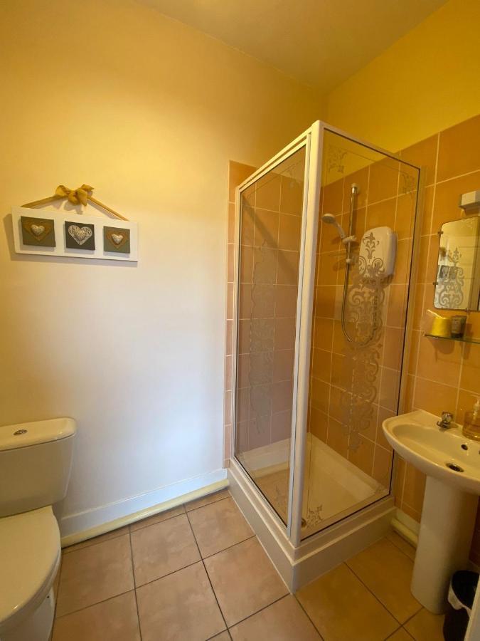 Buckingham Lodge Guest House Torquay Zewnętrze zdjęcie